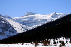 51 Mount Olive Saint Nicholas Peak, Wapta Icefield From Just After Num-Ti-Jah Lodge On Icefields Parkway